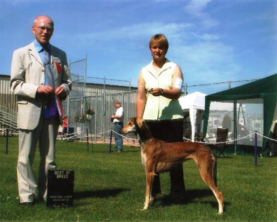 Daizy: Best of Breed for first point