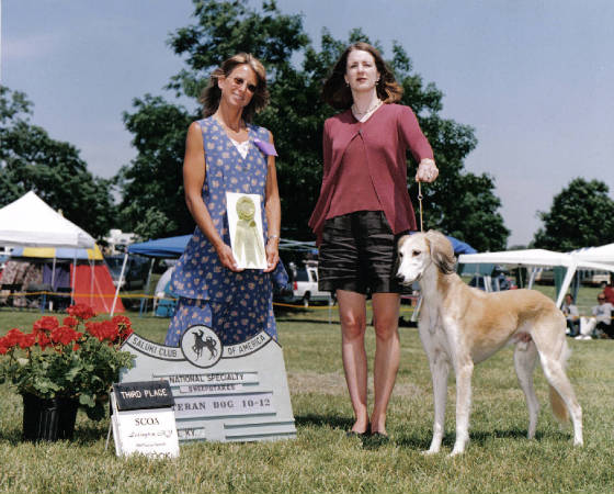 Dusty's first show: 3rd in Veterans Sweeps 10-12