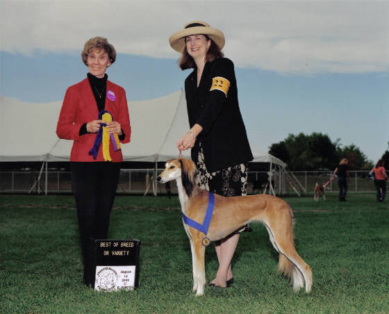 Zafirah: Best of Breed, ASA medallion supported 