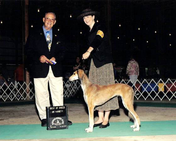 Best of Breed: Berrien KC