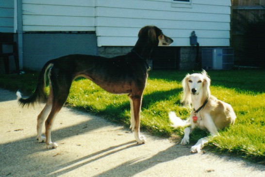 Dusty and Zahrah, Summer 2000