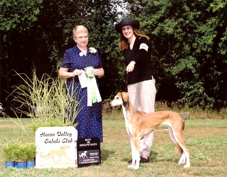 Best in Specialty Sweepstakes: HVSC 2003