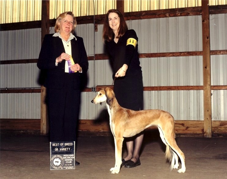 Best of Breed: Holland KC