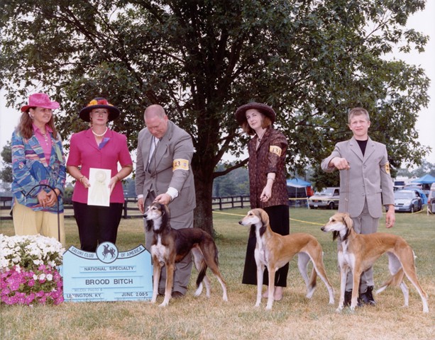 Zahrah: 3rd place, Brood Bitch, 2005 SCOA National