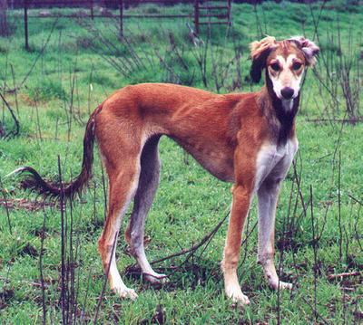 Claire: A beauty at six months